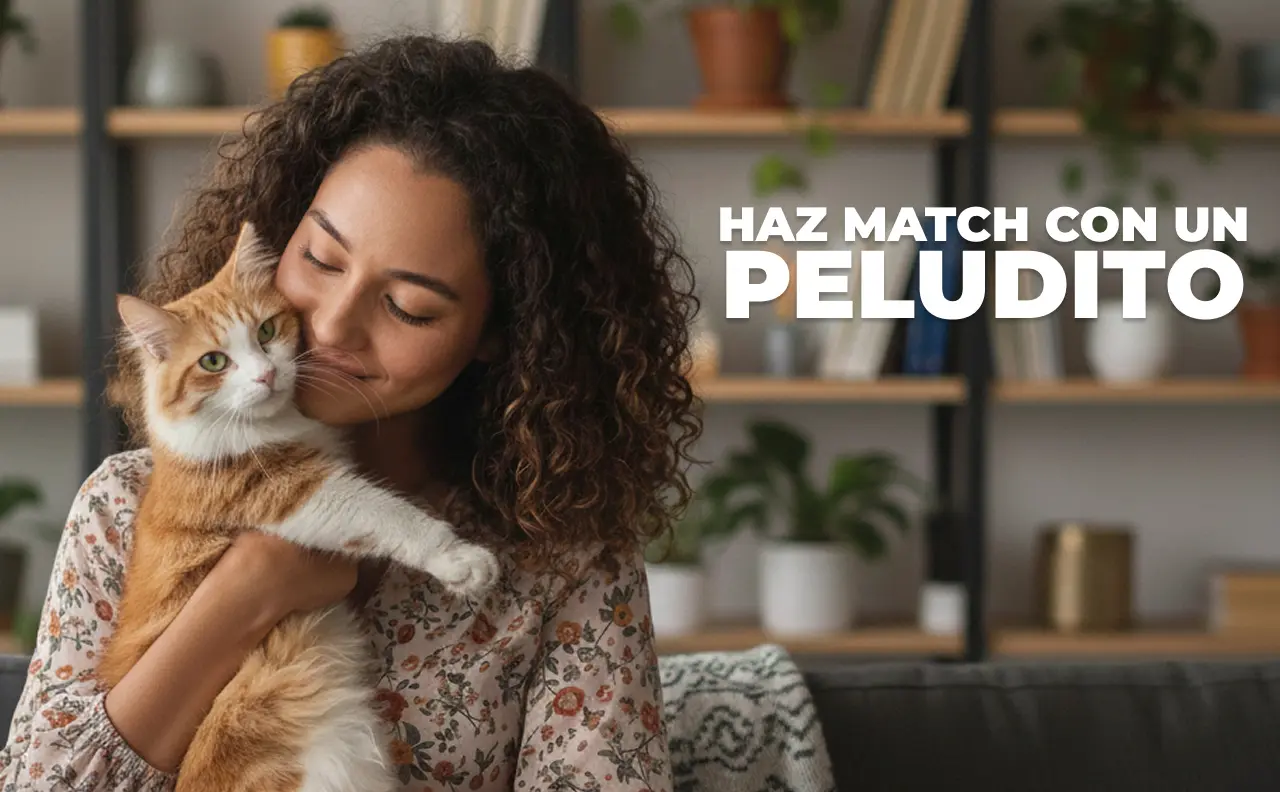 Subheader Apadrinamiento Imagen